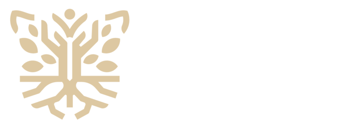 Transformando Guerrero